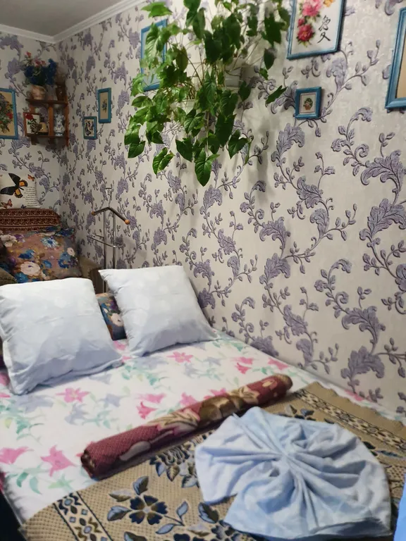 Квартира Уютная комната в чистой квартире с адекватной хозяйкой — Анапа