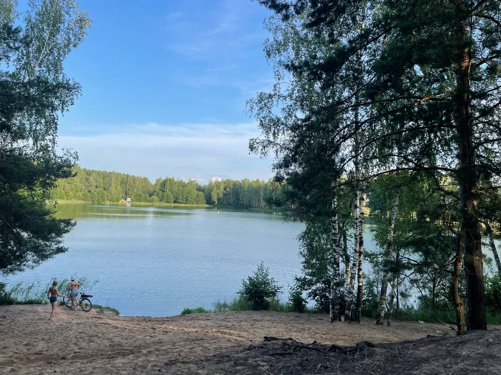 Коттедж Модульный дом с русской баней в двух шагах от озера — Павловский Посад