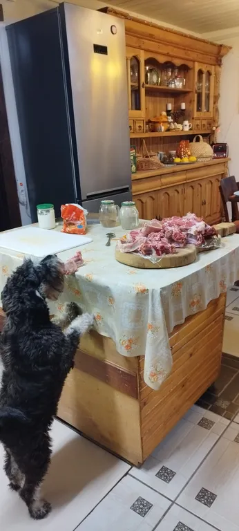 Дом для большой компании на Браславских озерах