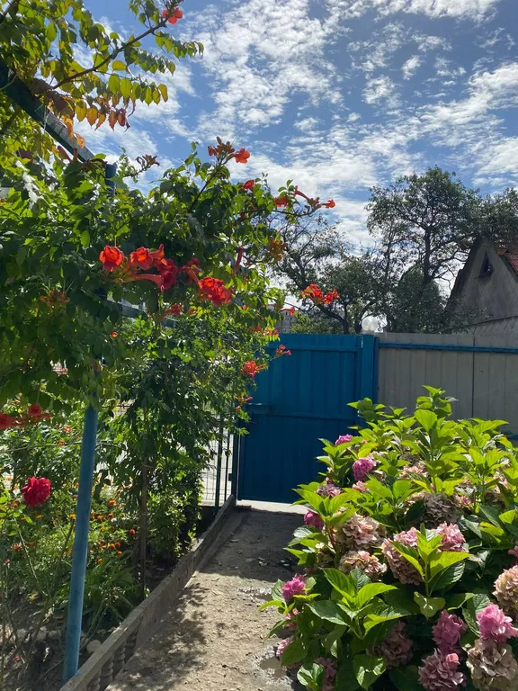 Уютный домик рядом с морем