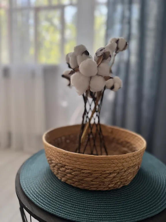 Апартаменты-студия в историческом центре