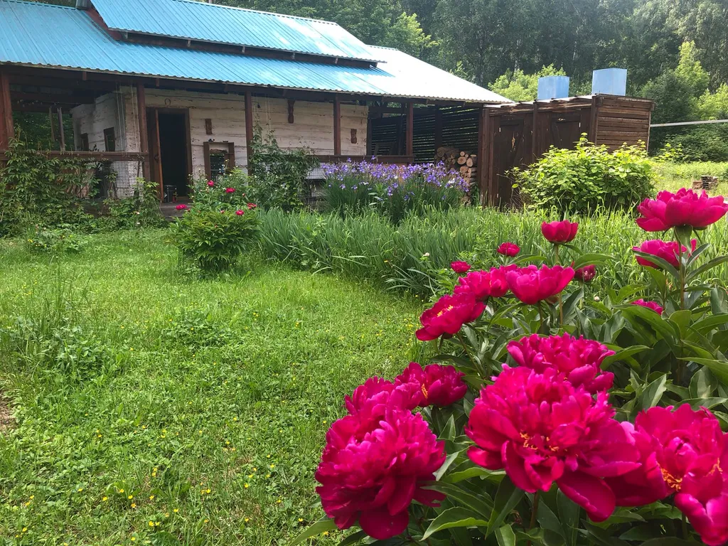 Комната с видом на лес в уютном доме