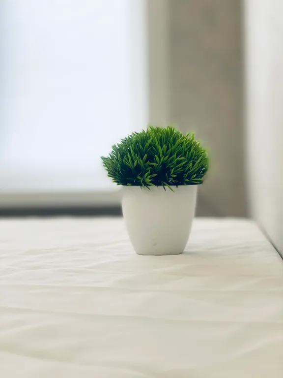 Квартира с новым ремонтом в 15 минутах от центра