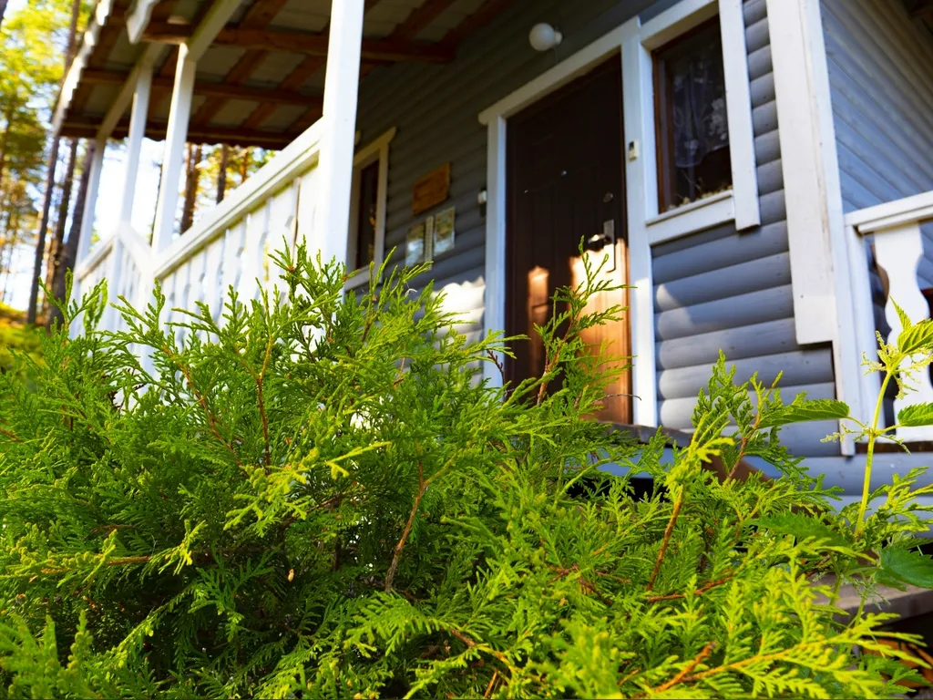 Коттедж 3-комнатный Дом — Калевала