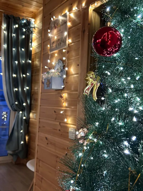 Семейный коттедж у озера