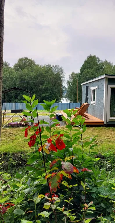 Мелодия леса