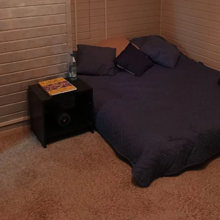 Дом художника