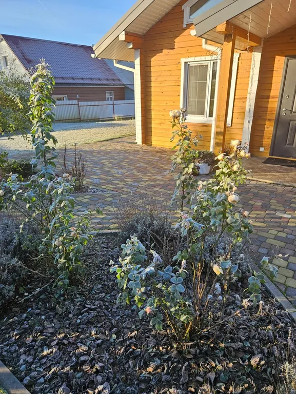 Дом из натурального бруса у горнолыжных центров