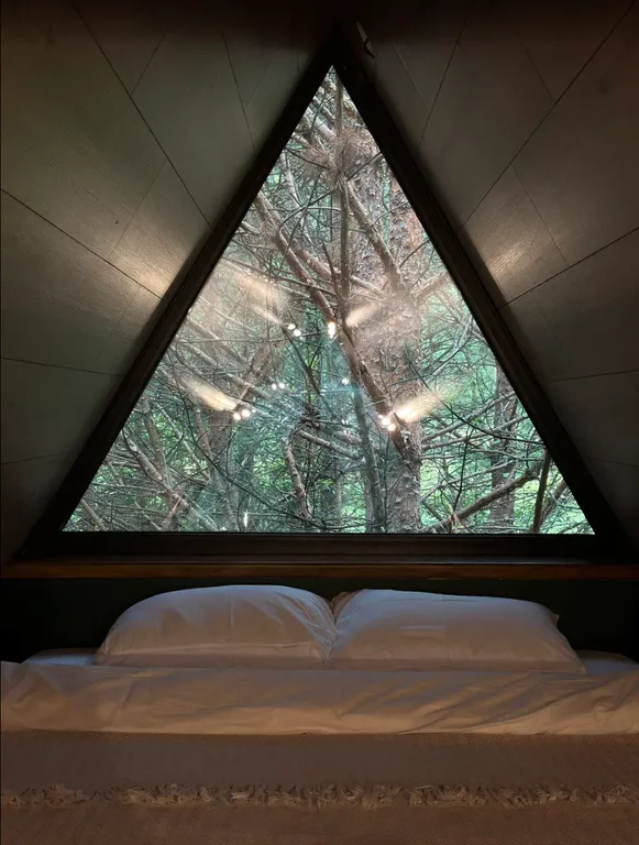 Хвойный - треугольный дом в сосновом лесу