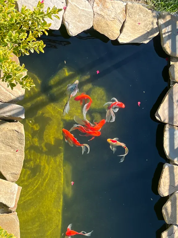 Коттедж Дом с видом на Скайпарк — Галицино