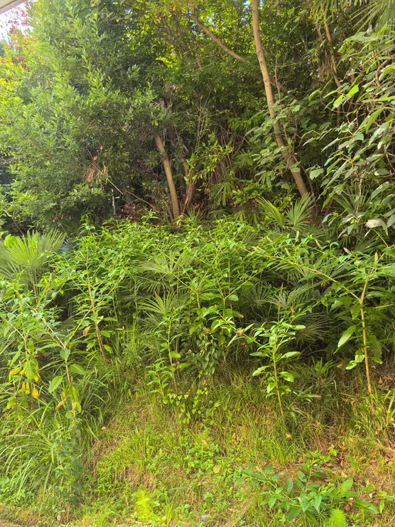 Квартира у моря для большой семьи.