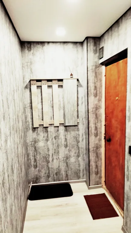 Чистая и теплая однокомнатная квартира у Столицы