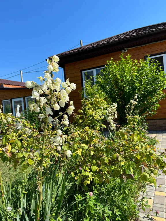 Уютные эко-апартаменты  «Миланд» в самом лучшем месте Крыма!