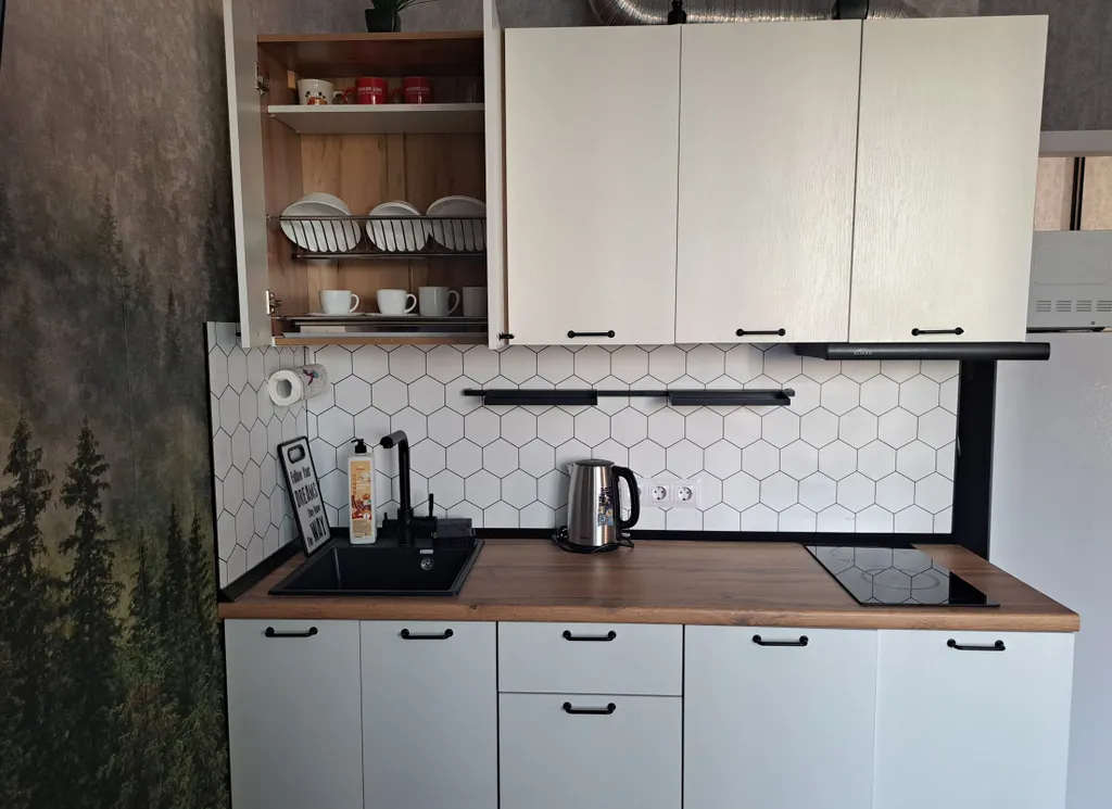 Студия с видом на Северную Двину