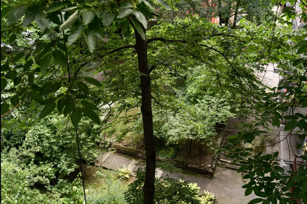 Квартира Просторная квартира в историческом центре — Владикавказ