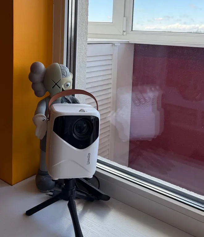 Студия с видом на Шуваловский парк