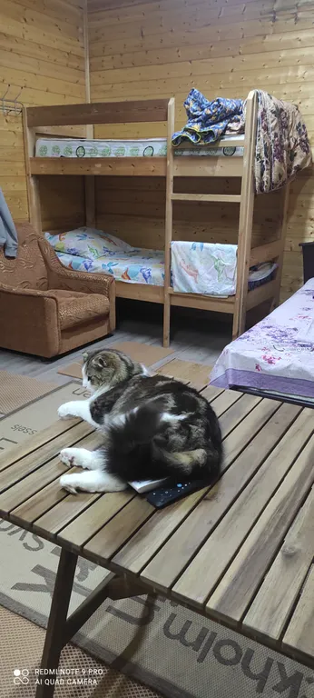 Квартира Комната — Голубицкая