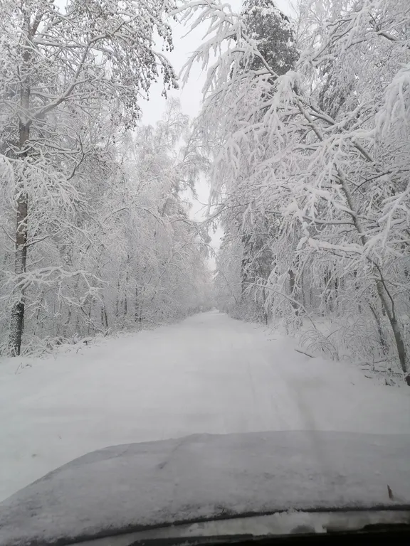 Дом 2 этажа, баня на дровах