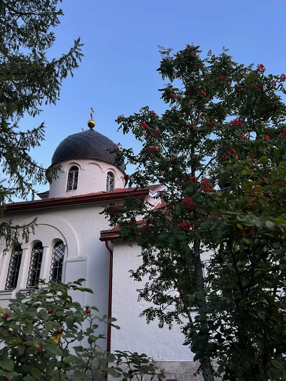 Домик в лесу