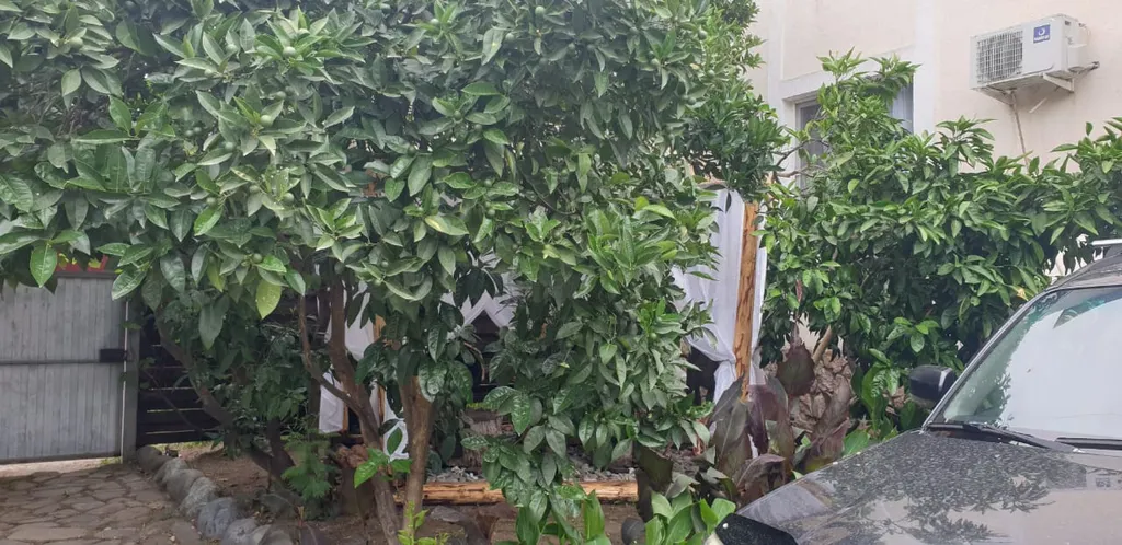 Уютный эко-дом