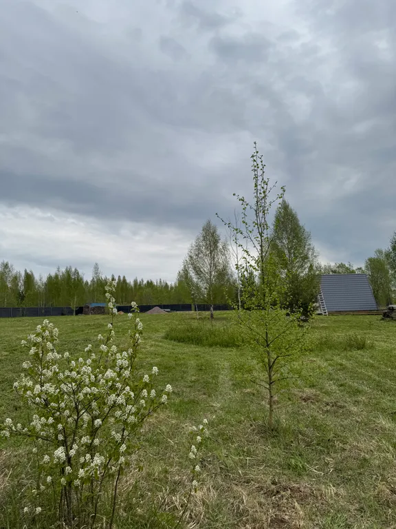 Современный а-фрейм