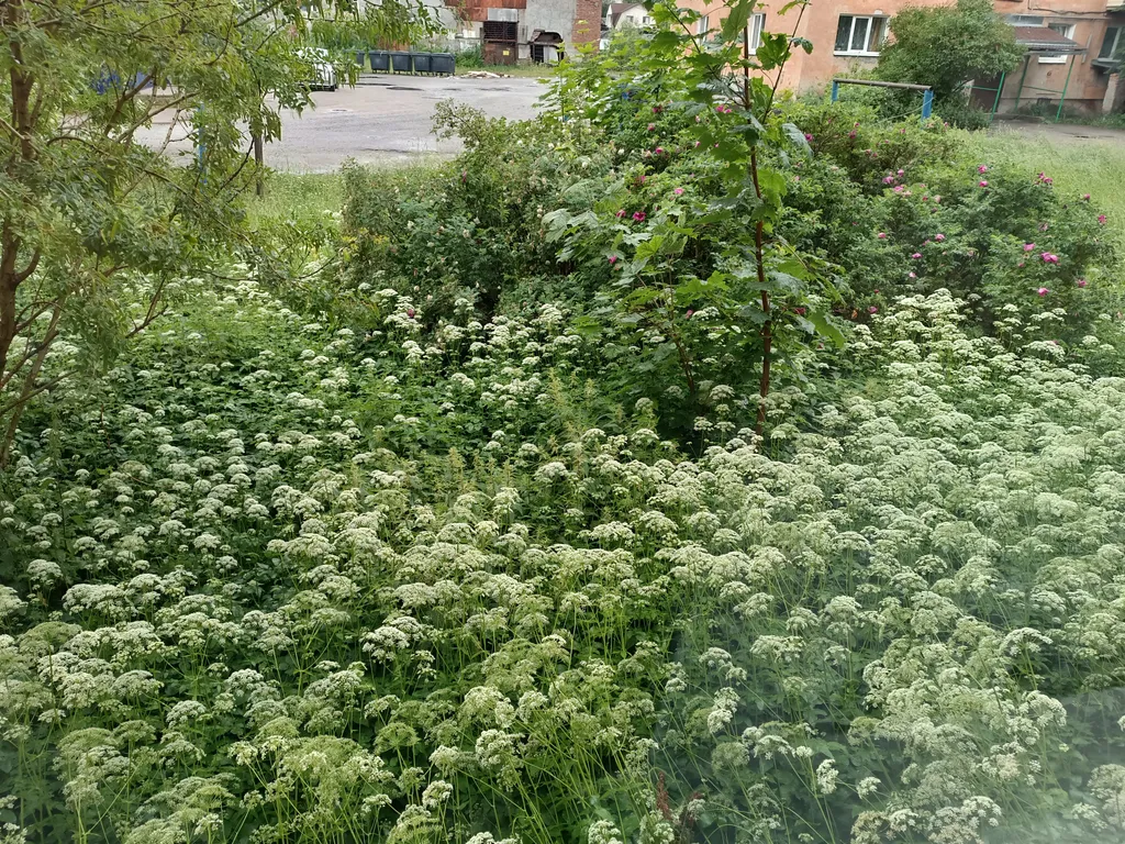 Уютная студия в центре города с хорошим ремонтом