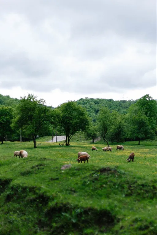 Коттедж Коттедж Family Cats — Галицино