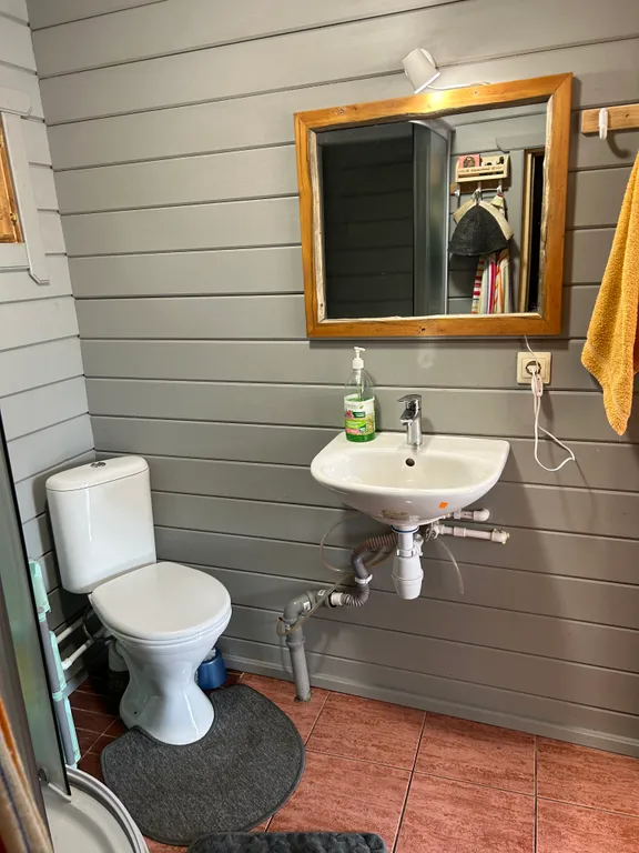 Дом с баней на дровах