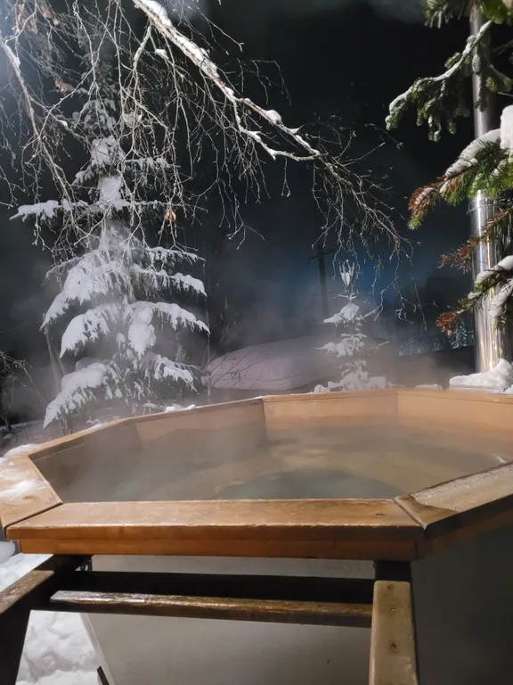 Апартаменты 2-х комнатные. Половина дома с отдельным входом