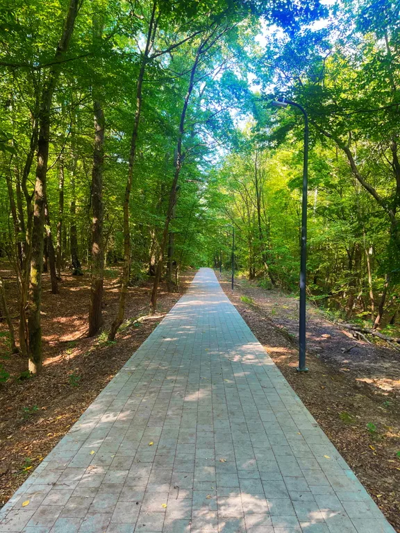 Новые апартаменты с видом на сосновый парк рядом с морем