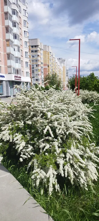 Квартира Квартира Уралмаш в новостройке с большой кухней — Екатеринбург