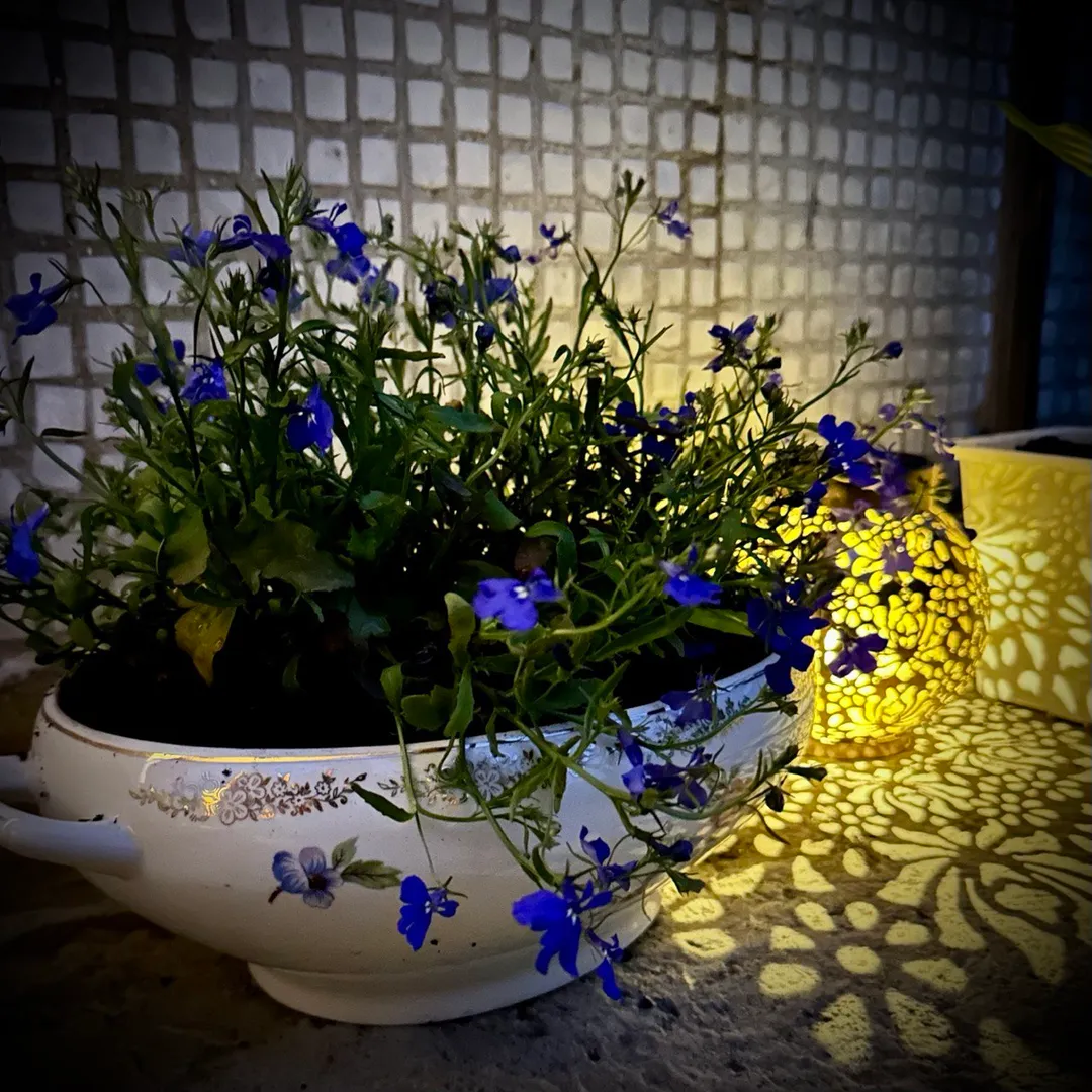Фото
