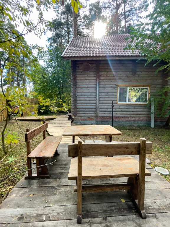 Дача в соснах 4