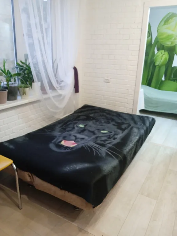 Квартира в пяти минутах от ледового дворца