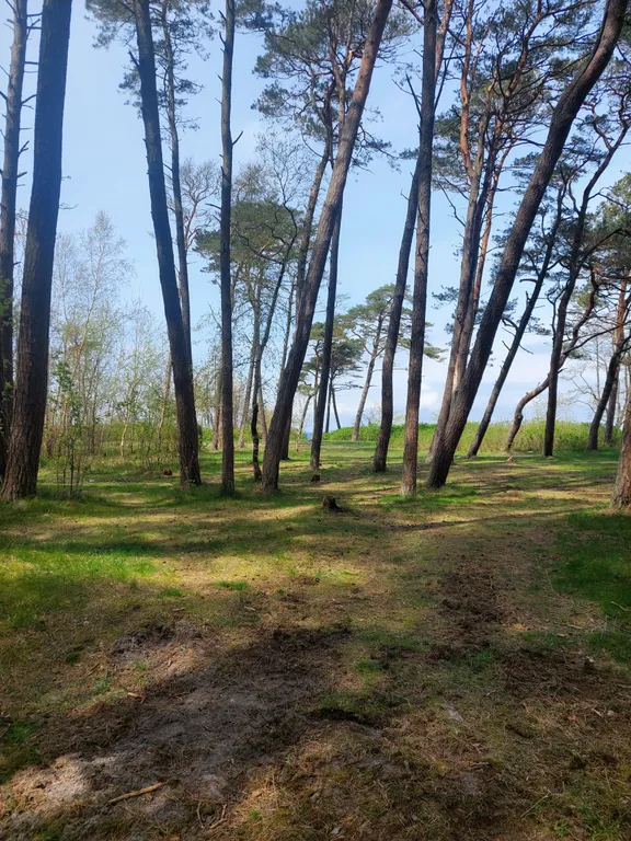 Квартира Квартира Уютное жилье в 5 минутах от моря — Пионерский