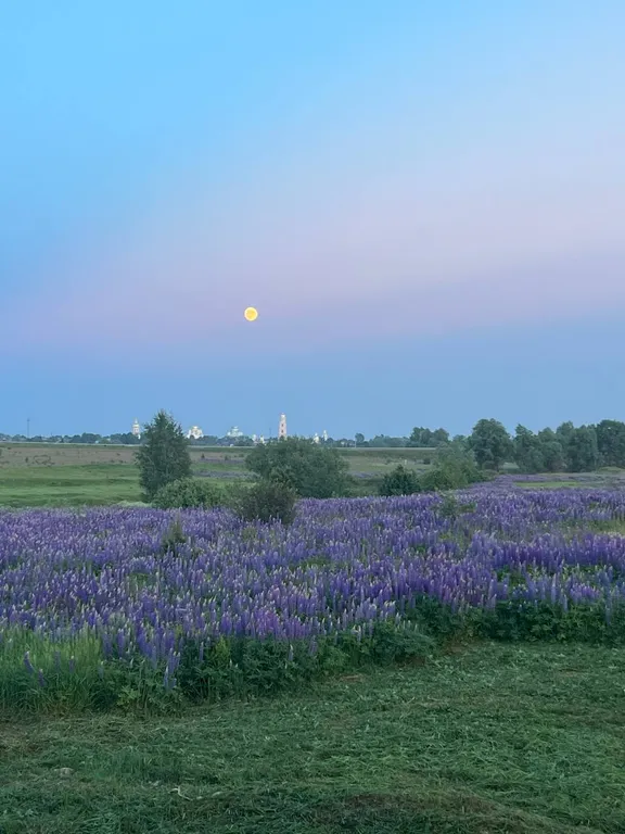 Уютный дом от храма в 7 минутах езды