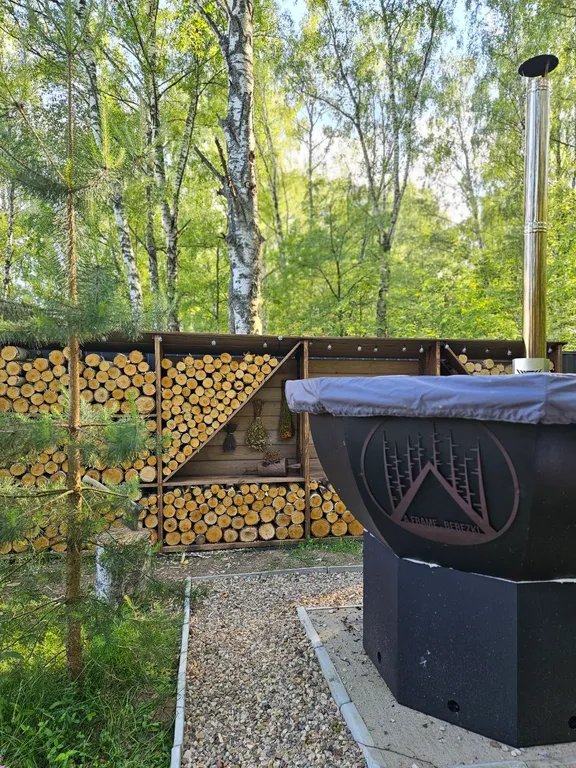 Красивые панорамные домики около леса