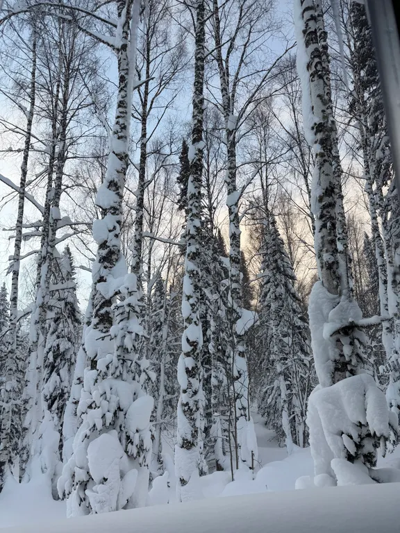 Дом у леса — уют для души