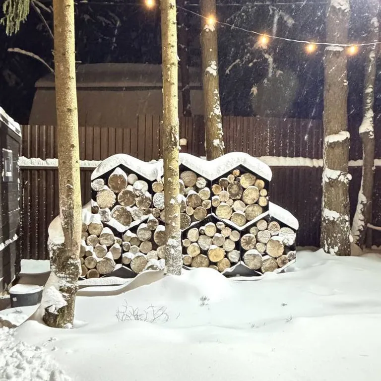 Дом для двоих в сосновом лесу