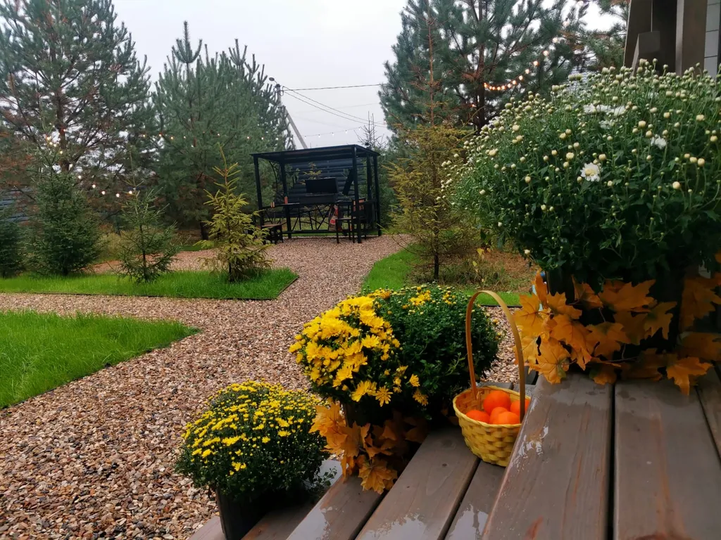 Панорамный дом в окружении леса на берегу водохранилища