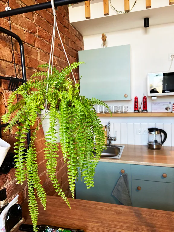 Green Loft Neva View с потрясающим видом на Неву