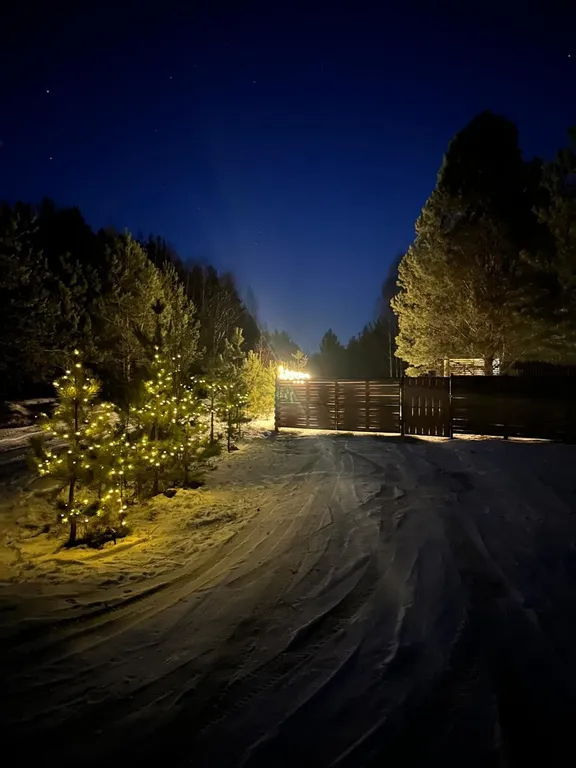 Домик в сосновом лесу с банным чаном