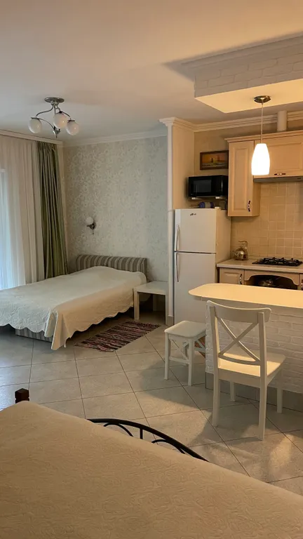 Студия со всеми удобствами и кухней