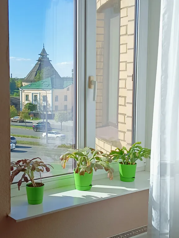 Квартира с видом из окна на покровскую башню и реку великую