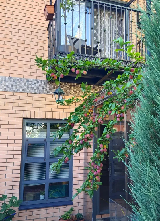 Дача на море