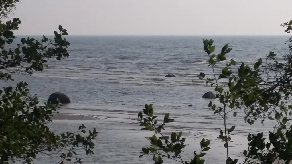 Коттедж Академическая дача (коттедж) у Финского залива, Зеленогорск-Смолячково — Санкт-Петербург