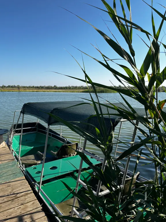 Гостевой дом Енот