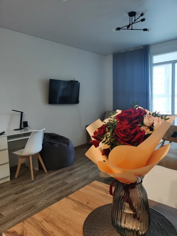 Уютная студия в центре города