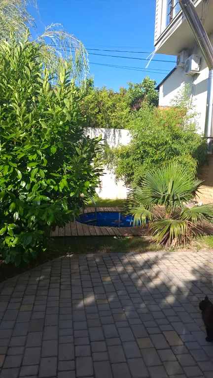 Сруб у моря