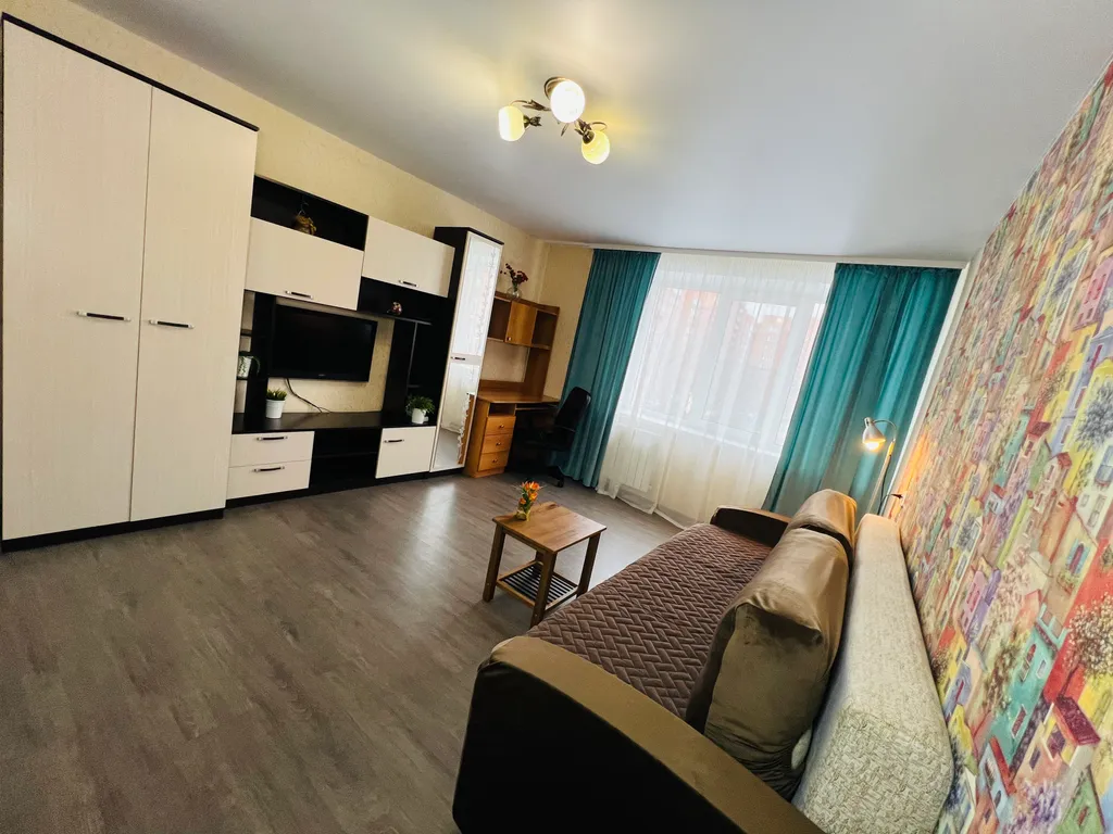 1-комнатная квартира в деловом и историческом центре города с новогодней елкой